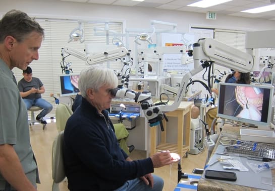 hands-on-periodontal-regeneration
