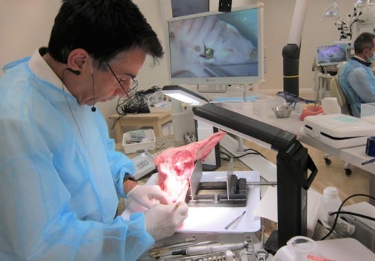 implant dentistry hands on