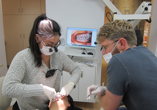 orthodontics occlusion program